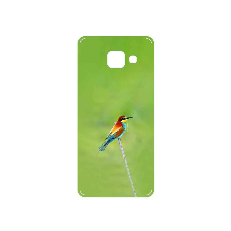 برچسب پوششی ماهوت مدل European bee-eater مناسب برای گوشی موبایل سامسونگ Galaxy A3 2016