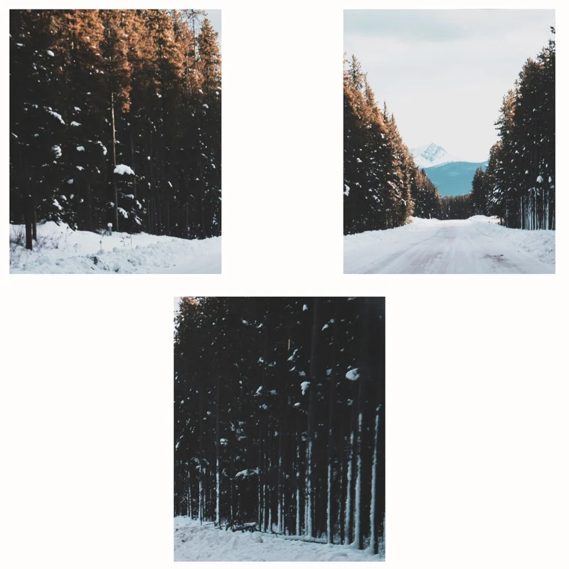 پوستر مدل مستر جاده برفی -چاپ جنگل مجموعه 3 عددی