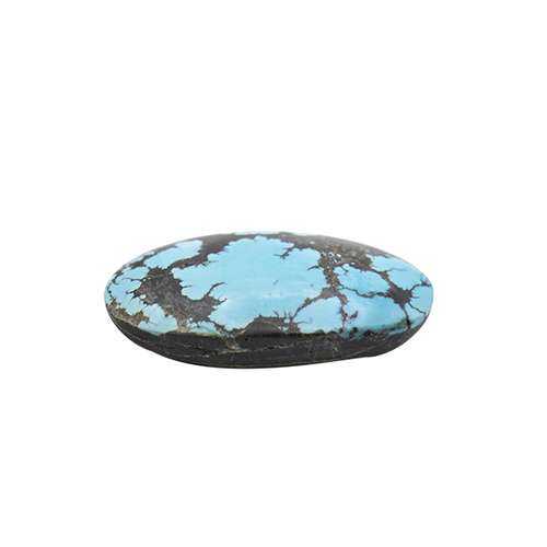 سنگ فیروزه شجر نیشابور مدل f.b1144