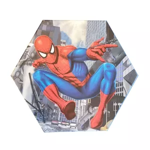 بسته رنگ آمیزی مدل مرد عنکبوتی بسته 46 عددی
