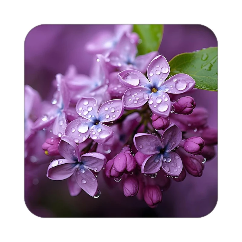 زیر لیوانی کاکتی طرح گل مدل mp16285