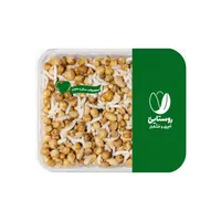 آجیل سلامت روستایی - ۱۰۰ گرم