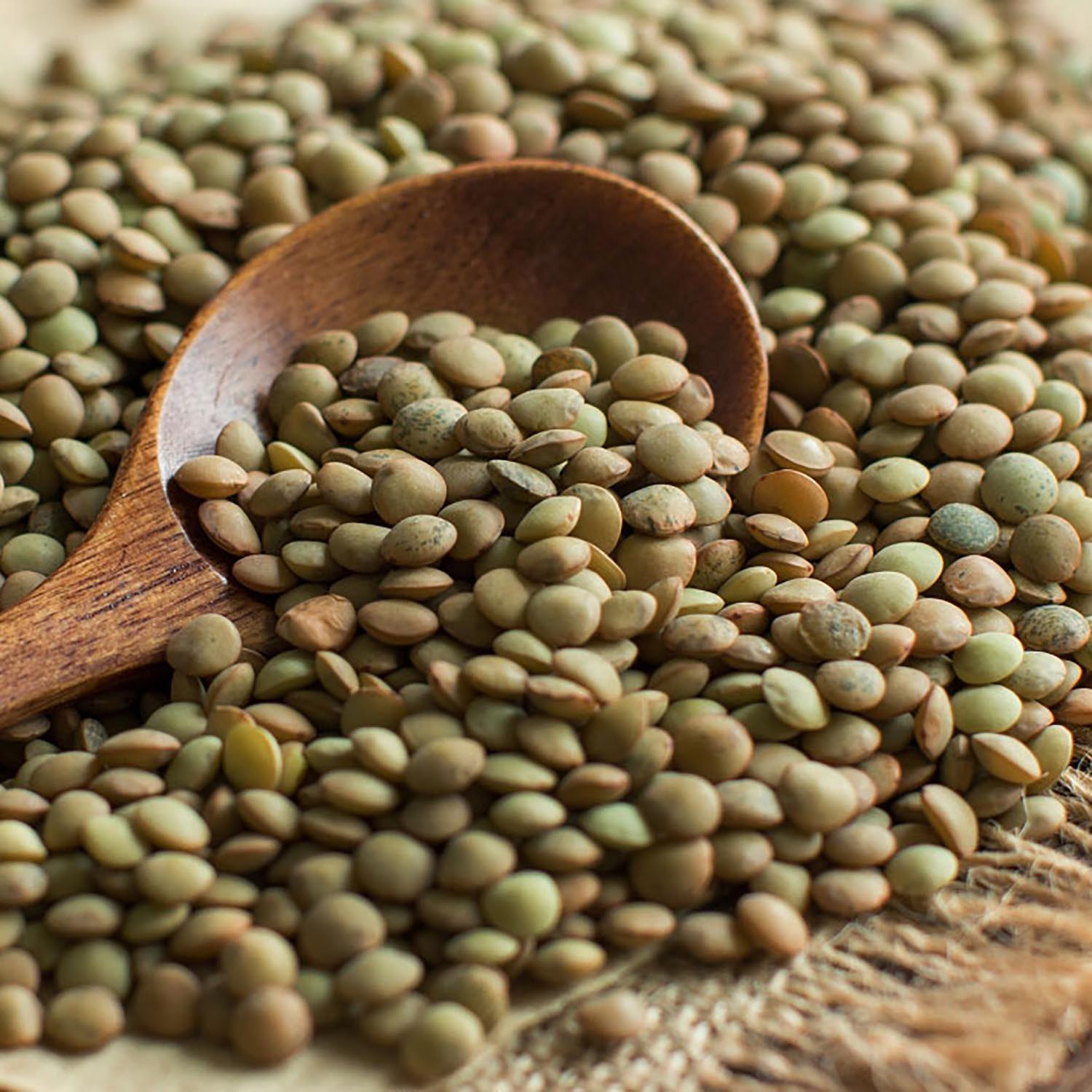 عدس ریز و آشی - 500 گرم
