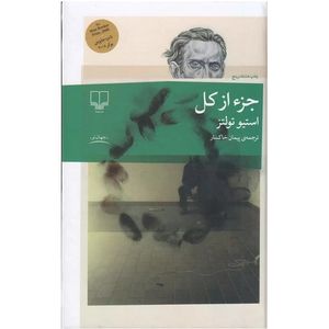 کتاب جزء از کل اثر استیو تولتز ترجمه پیمان خاکسار نشر چشمه