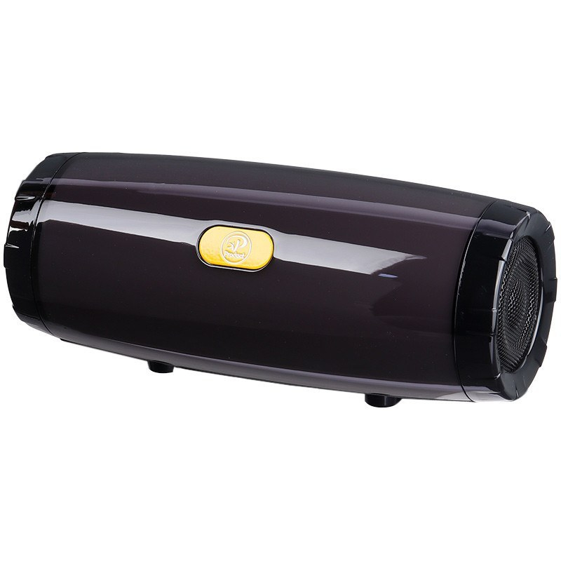 اسپیکر بلوتوثی قابل حمل ایکس پی-پروداکت مدل B613G