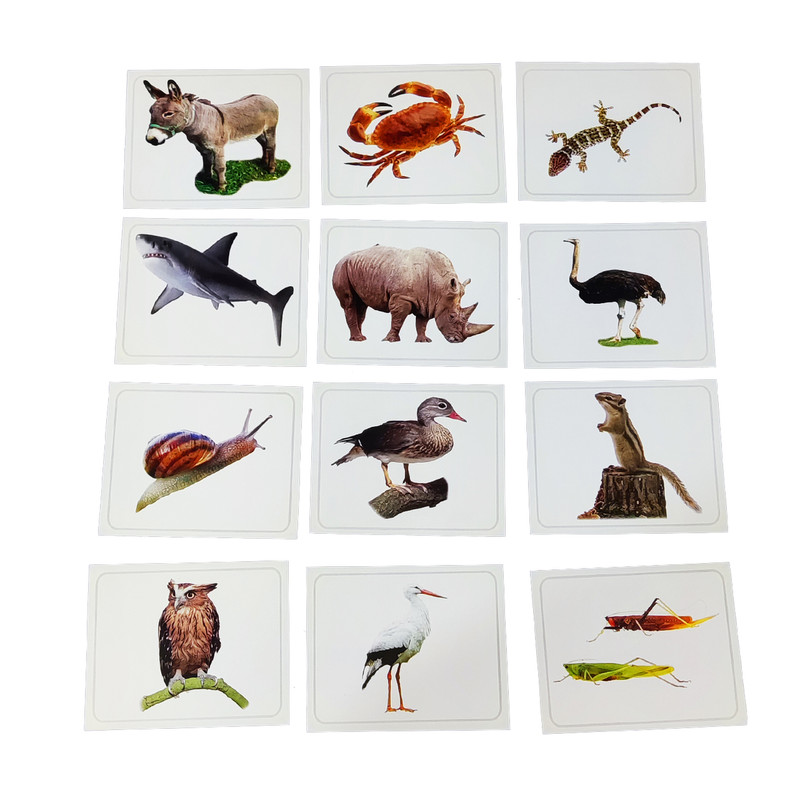 بازی آموزشی کارتهای دیدآموز مدل جانوران کد 88