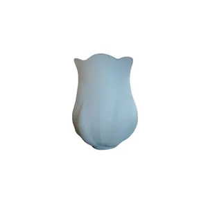 حباب  مدل nik3312