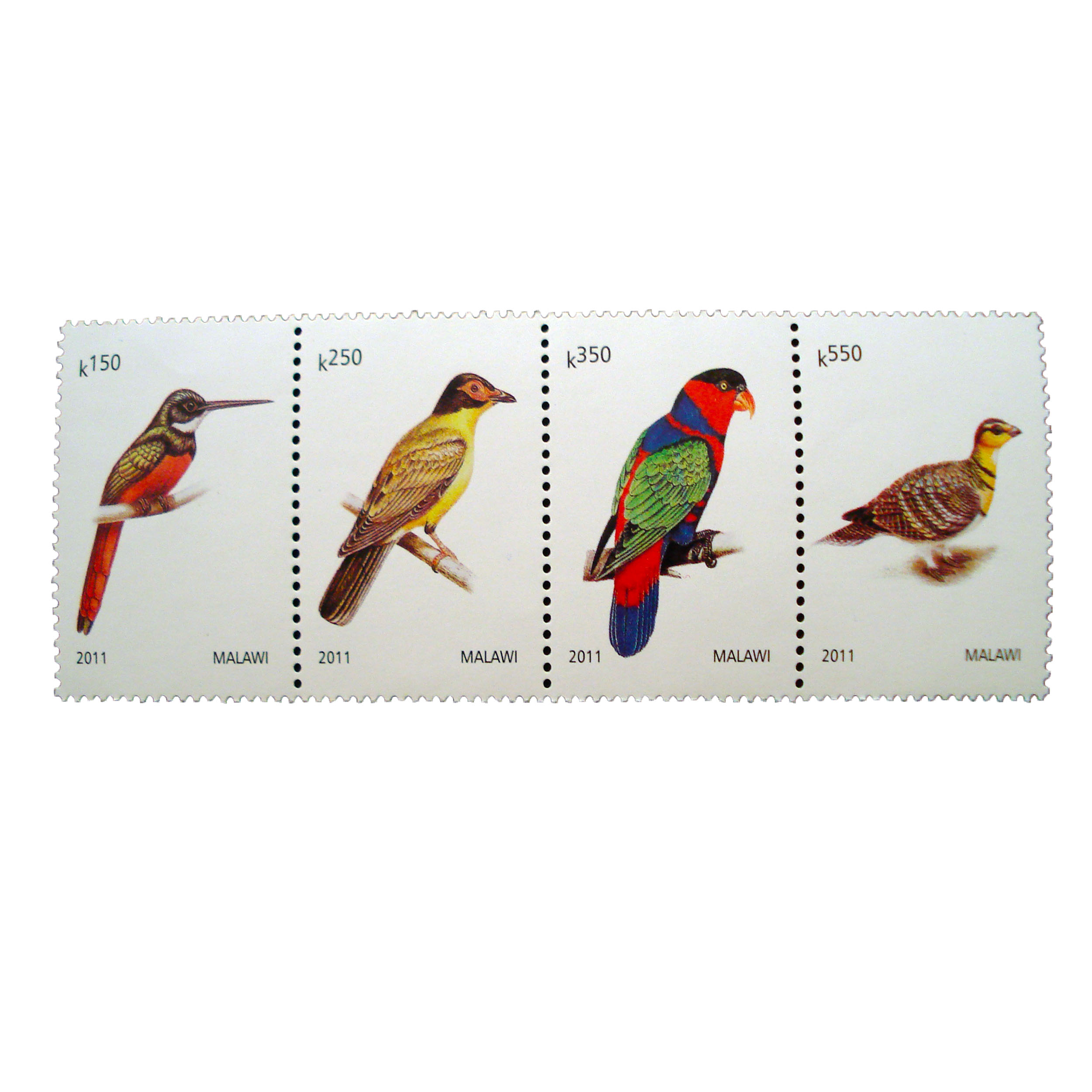 تمبر یادگاری طرح طبیعت مدل پرنده کد bird-735 مجموعه 4 عددی
