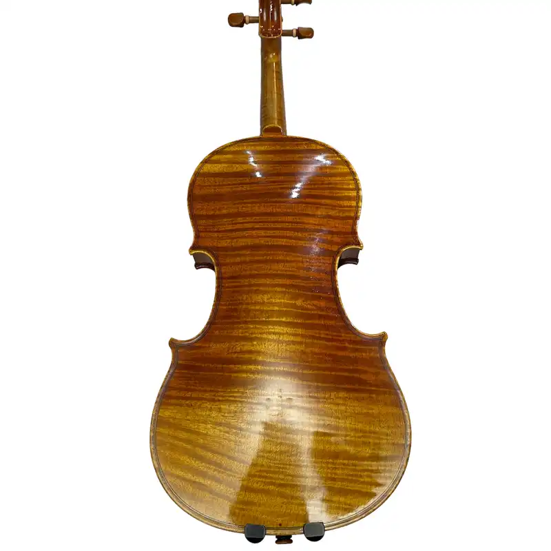 ویولن مدل Paolo Leoneri M9