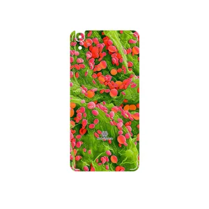 MAHOOT Atom Universe 3 Cover Sticker for Huawei Y6 2015