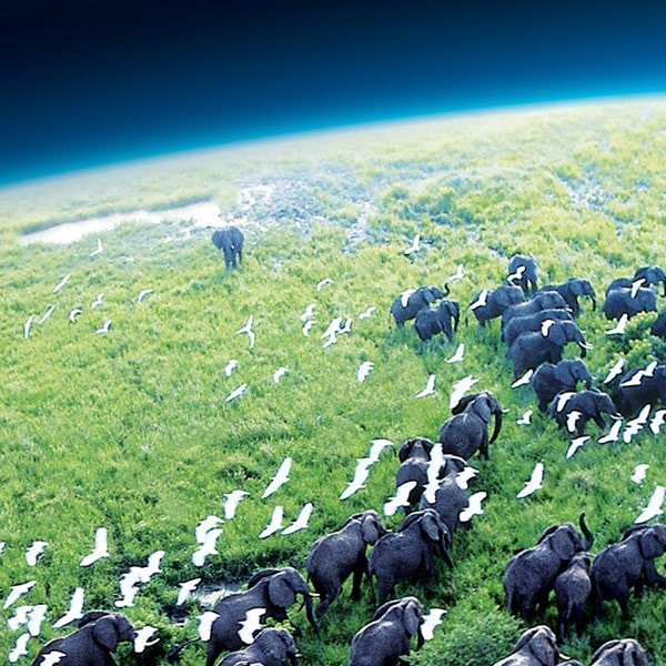مستند سیاره زمین Planet Earth 2006 اثر دیوید اتنبرو نشر لیمو استور مستند سیاره زمین Planet Earth 2006 اثر دیوید اتنبرو نشر لیمو استور