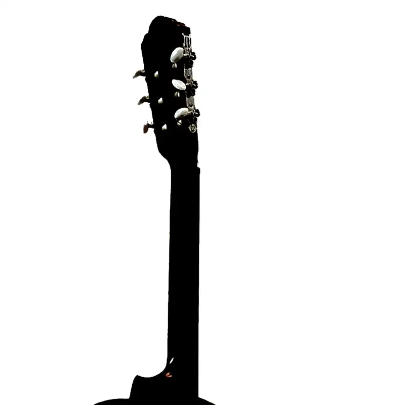 گیتار مدل فرد ۰۹