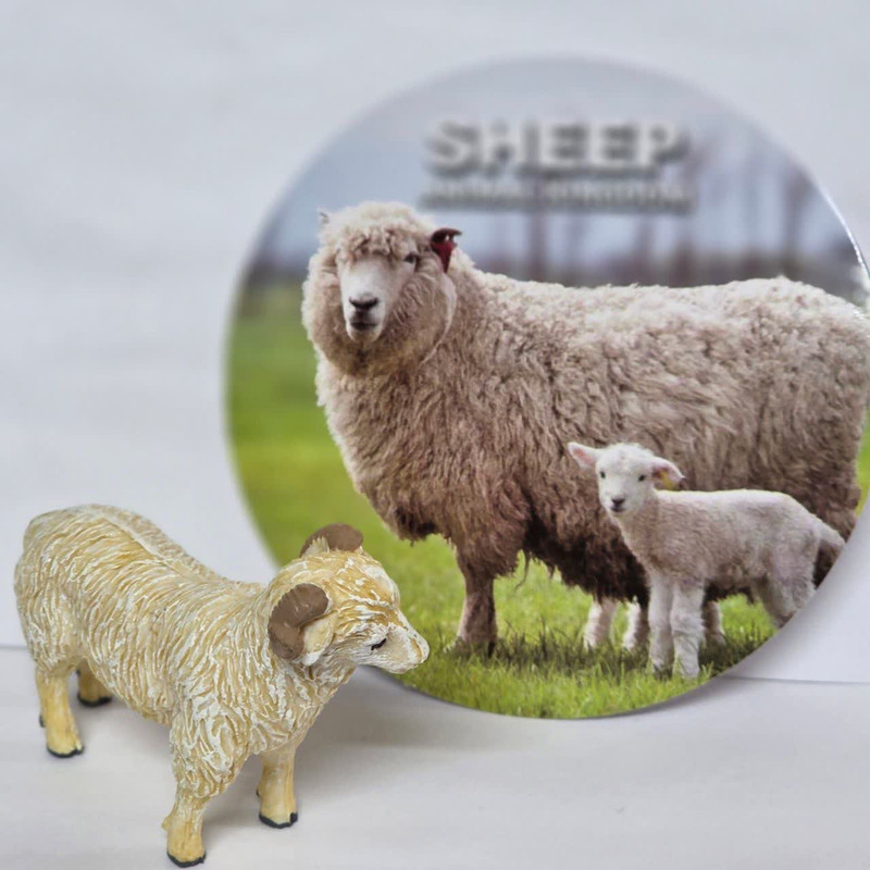 فیگور ناب سل مدل گوسفند کد SHEEP NAAB038 ارتفاع 5 سانتی متر