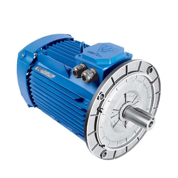 الکتروموتور سه فاز القائی تک دور موتوژن مدل 112M2A 4-3000 54F 380/660-400/690 B5