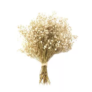 گل خشک مدل عروس بوته ای