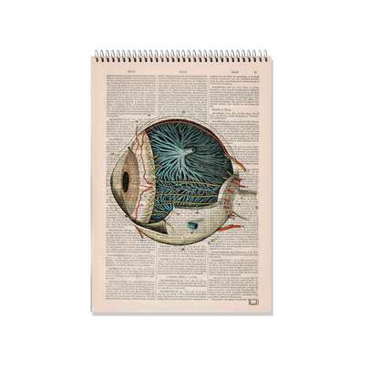 راهنمای خرید انواع مدل کتاب و دفتر شطرنجی، برای پیش دبستانی و کلاس اول، برای نقاشی، دخترانه و پسرانه، فانتزی و ساده