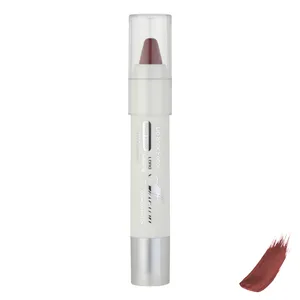 رژ لب مدادی فایتون مدل پیچی BB شماره 504