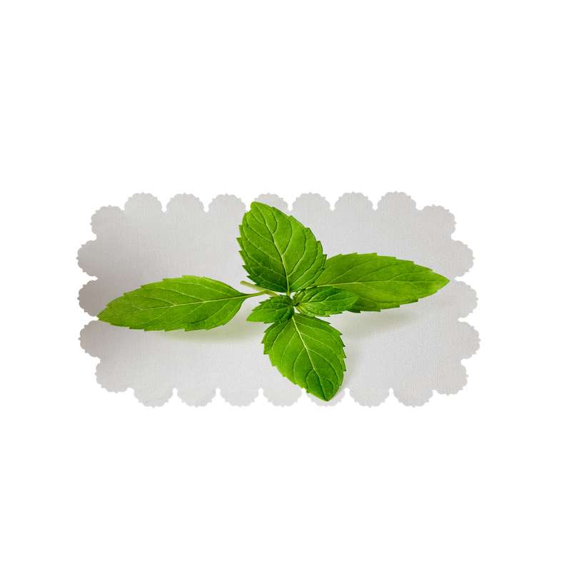 رومیزی طرح برگ نعنا کد 6305R