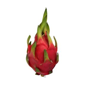 دراگون فروت درجه یک - یک عدد