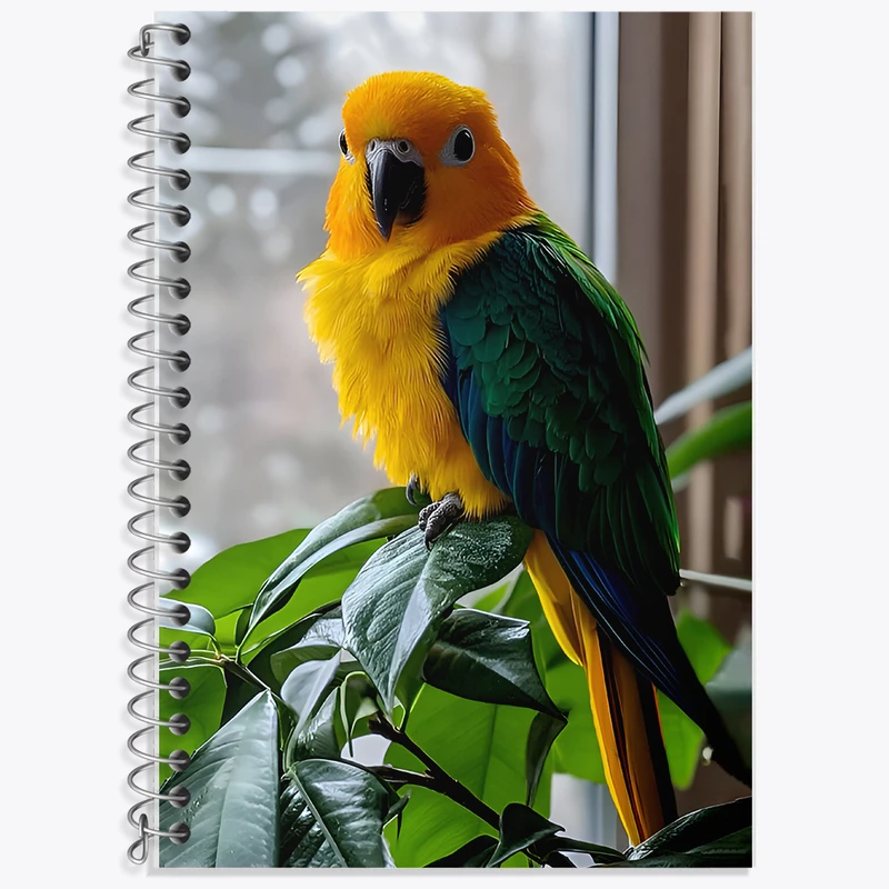 دفتر لغت 50 برگ خندالو طرح طوطی کد F7811