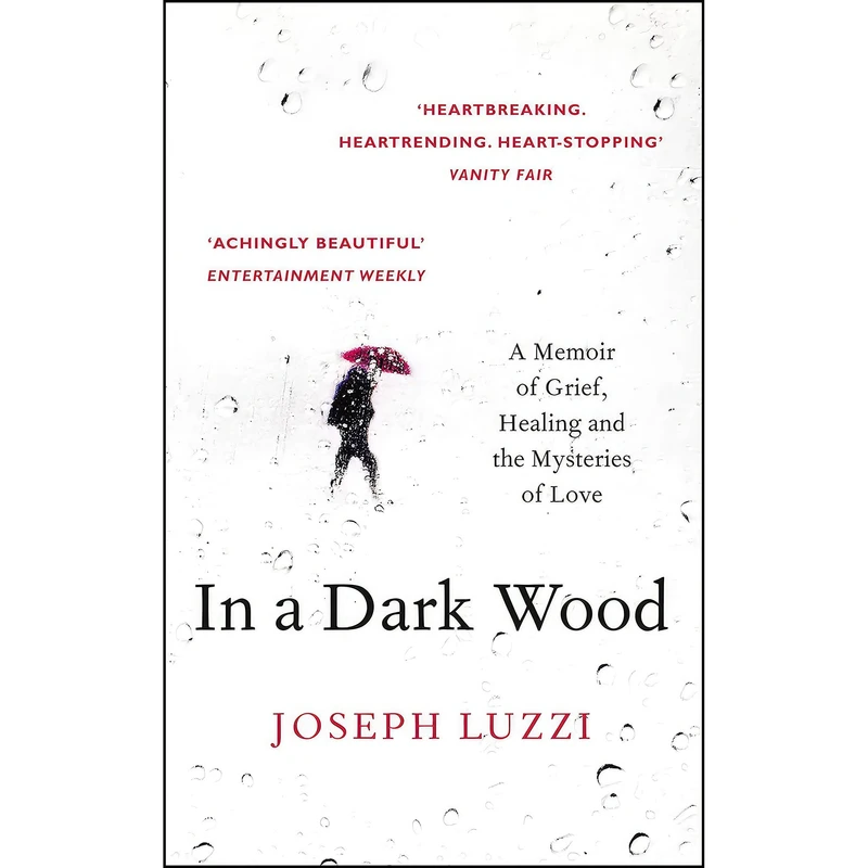 کتاب IN A DARK WOOD- PB اثر Joseph Luzzi انتشارات HARPER COLLINS