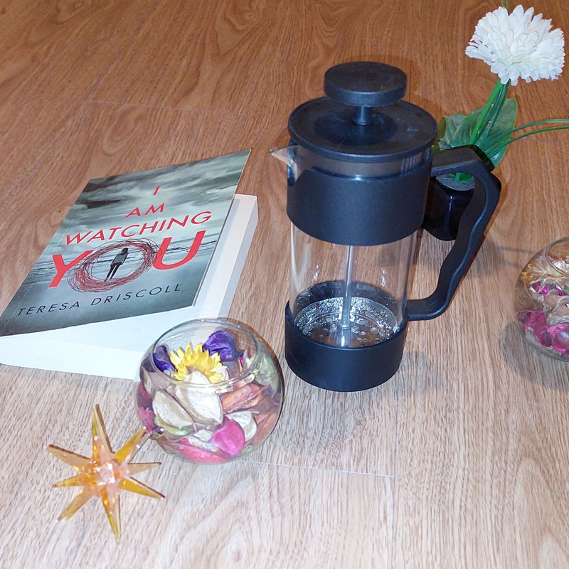 فرنچ پرس مدل یی تی ان 0066-11