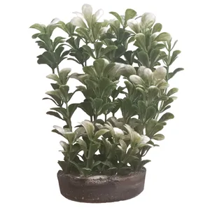 گیاه تزیینی آکواریوم مدل AP 8