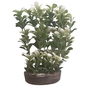 گیاه تزیینی آکواریوم مدل AP 8