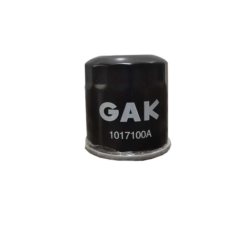 فیلتر روغن جی ای کا مدل 1017100A مناسب برای لیفان x60