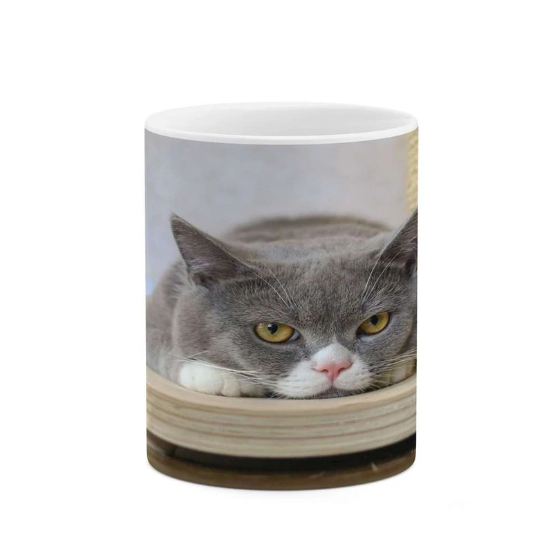 ماگ کاکتی مدل گربه کد mgh16898