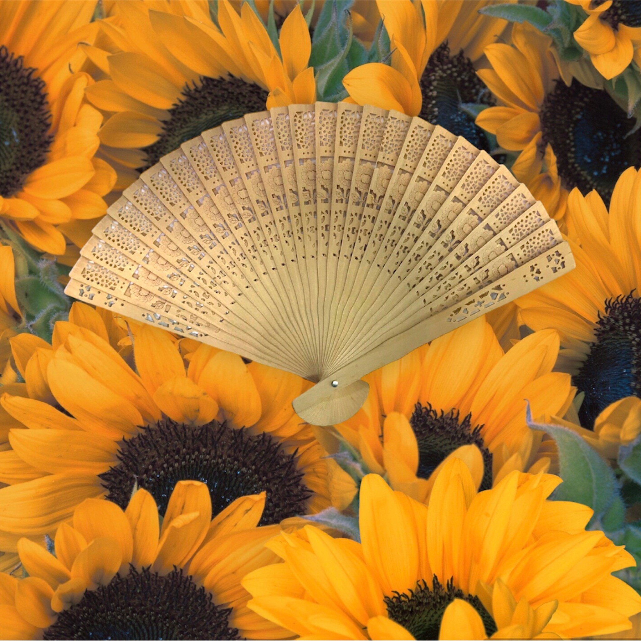 بادبزن مدل دستی طرح ژاپنی گلدار