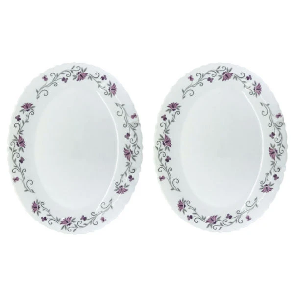 دیس پارس اپال مدل 124 درجه یک بسته 2 عددی