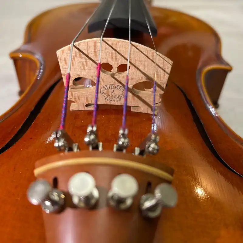 ویولن مدل Paolo Leoneri M9