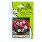 بذر گل شمعدانی میکس آرکا بذر ایرانیان کد 206-ARK