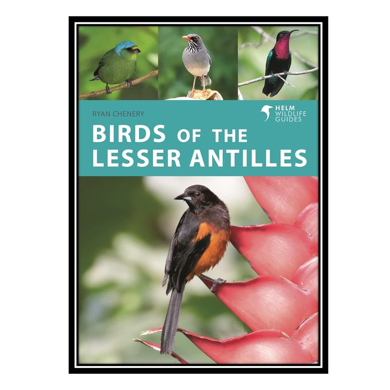 کتاب Birds of the Lesser Antilles اثر Ryan Chenery انتشارات مؤلفین طلایی