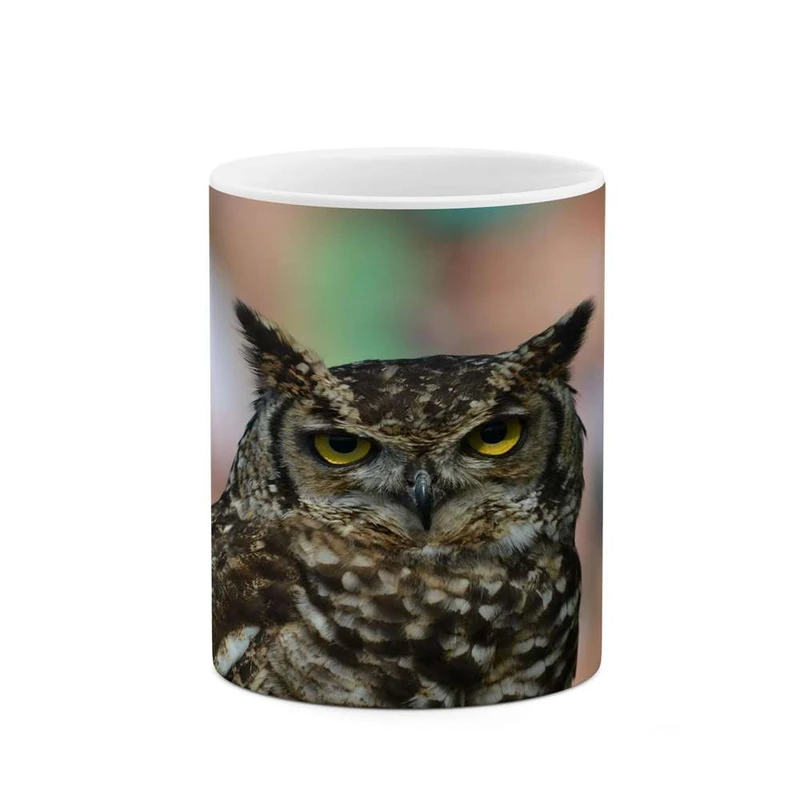 ماگ کاکتی مدل جغد کد mgh14768