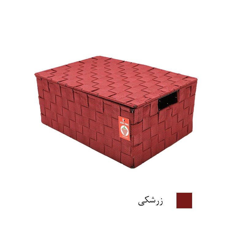 باکس نظم دهنده پگاه صنعت مدل B157