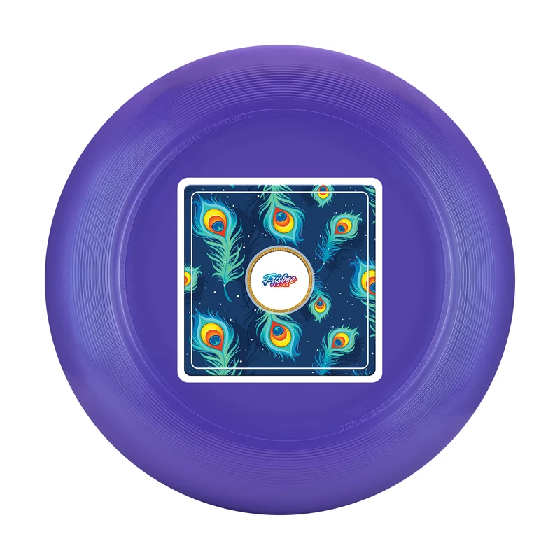 فریزبی پارادوکس بیزنس مدل The Ultimate