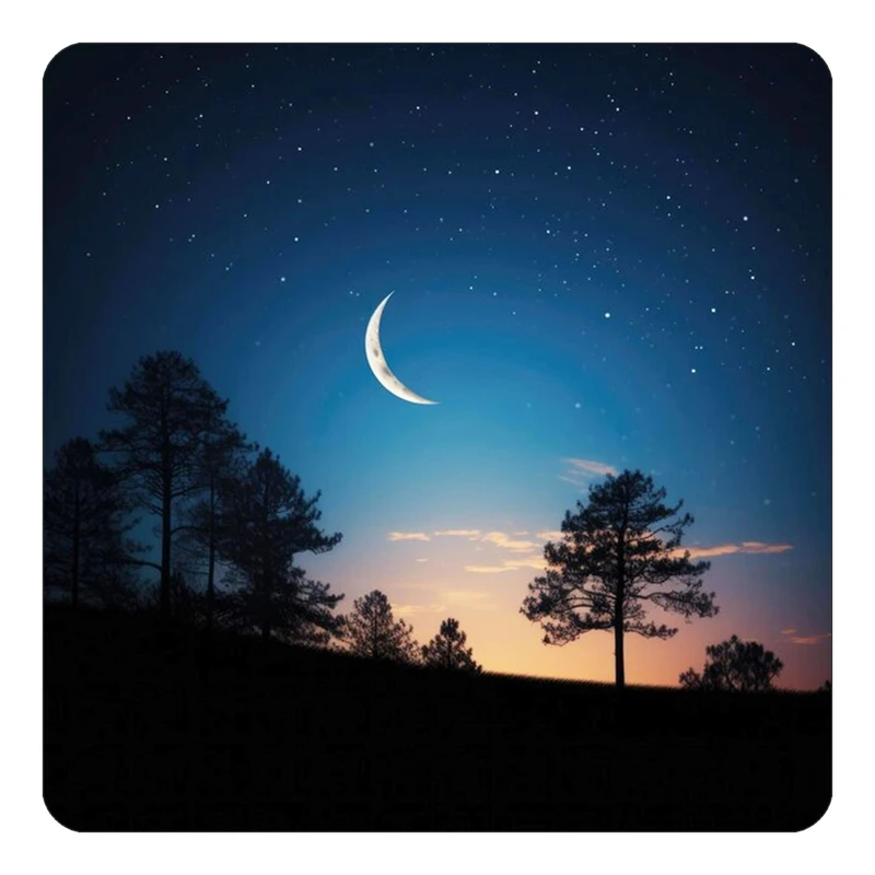 مگنت کاکتی طرح ماه و ستاره مدل mp53133