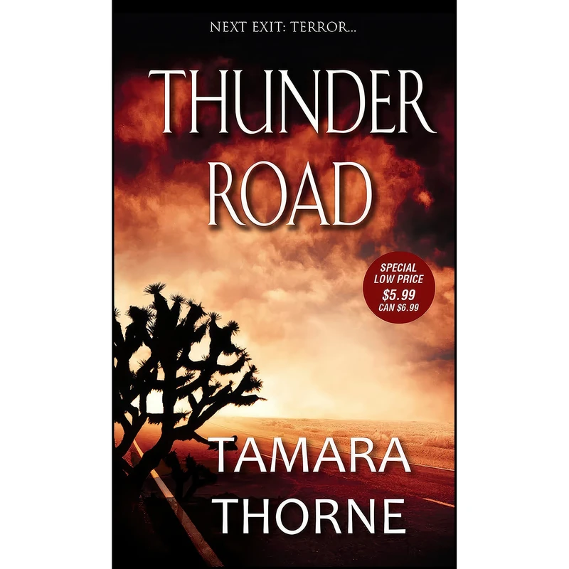 کتاب Thunder Road اثر Tamara Thorne انتشارات Zebra