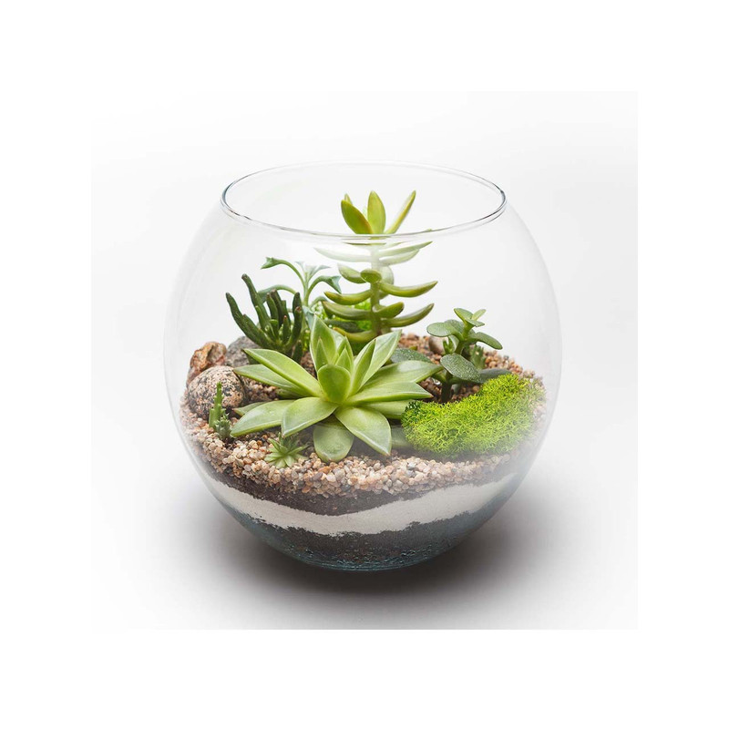 سنگ تزیینی مدل t56 وزن 500 گرم بسته 6 عددی