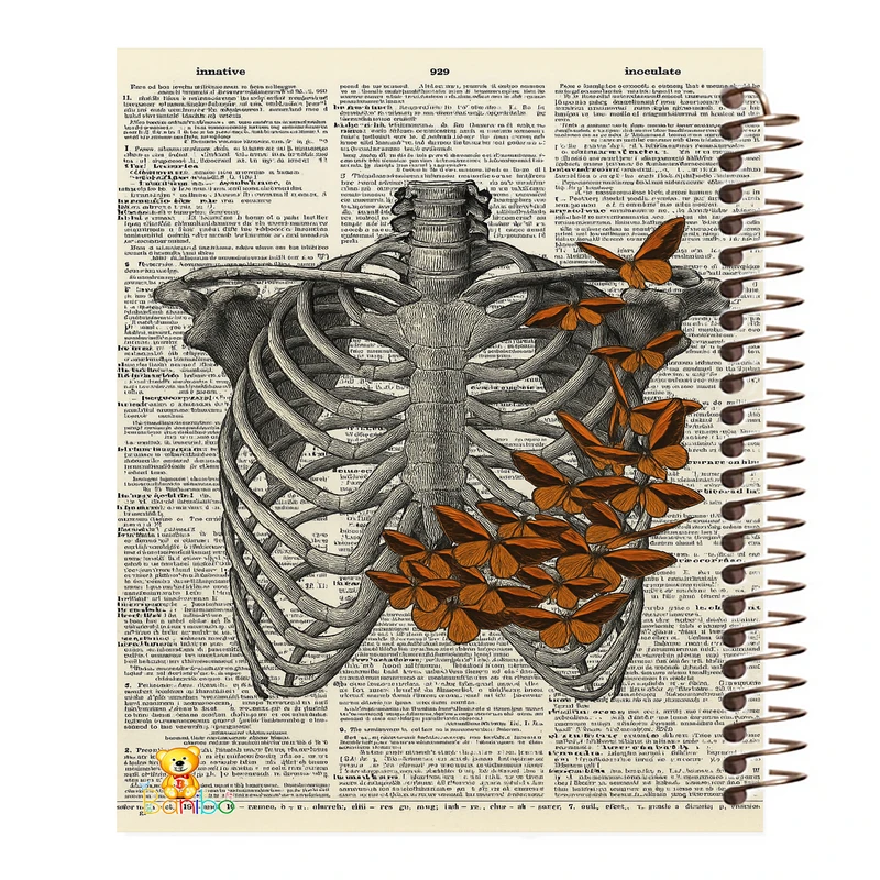 دفتر نقاشی 50 برگ بانیبو مدل پروانه کد 1191