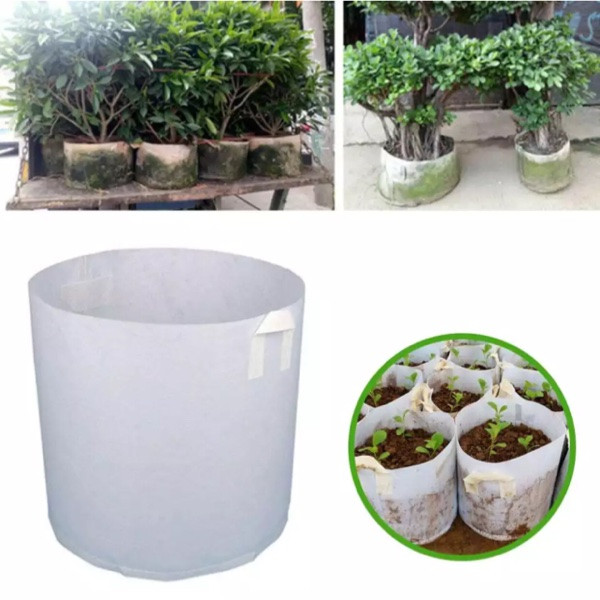 گلدان مدل L60 كدMM5 بسته 5 عددي