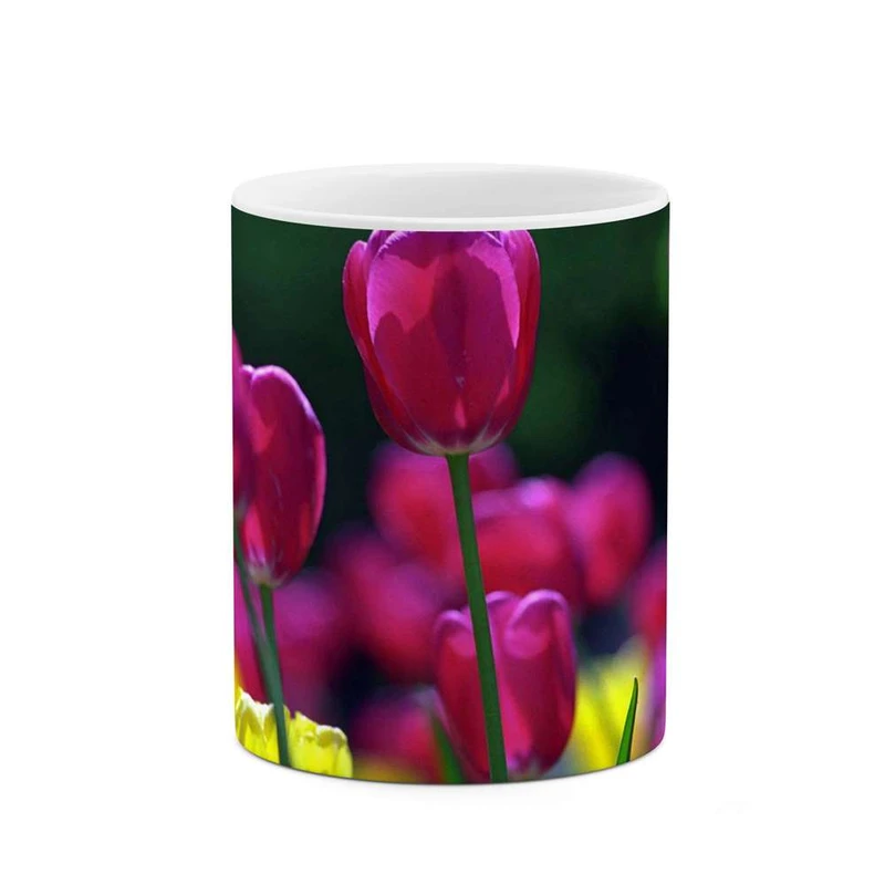 ماگ کاکتی مدل گل کد mgh12007