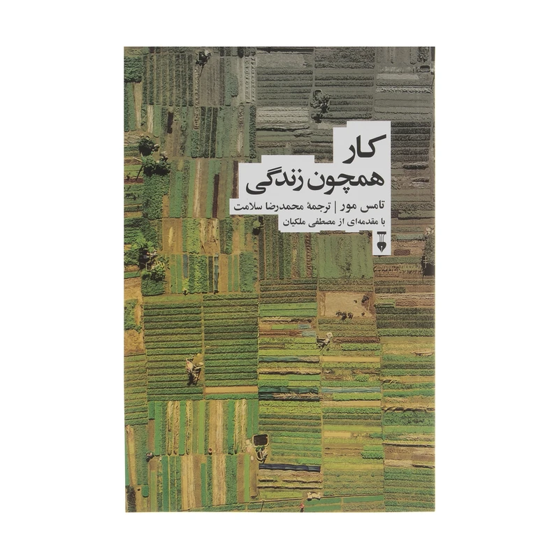  کتاب كار همچون زندگي اثر تامس مور نشر نو