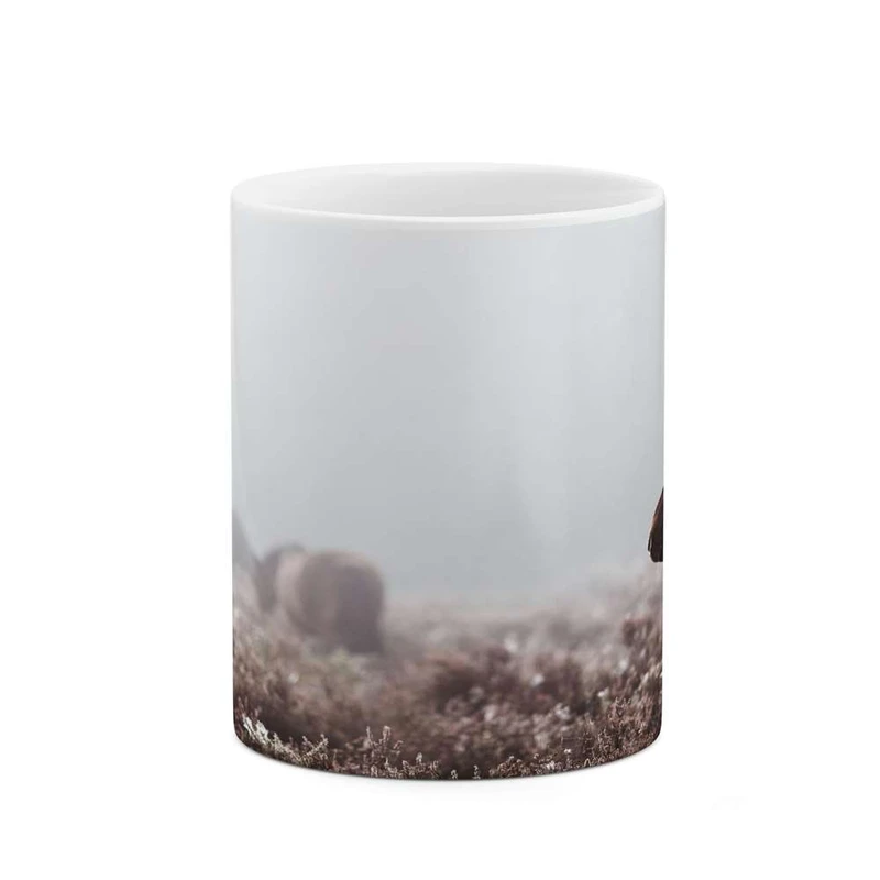 ماگ کاکتی مدل اسب کد mgh24088