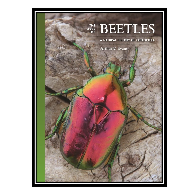 کتاب The Lives of Beetles: A Natural History of Coleoptera اثر Arthur V. Evans انتشارات مؤلفین طلایی