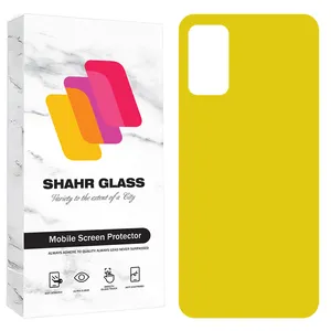 Shahr Glass TPBS20 Back Protector For Samsung Galaxy S20 4G / Galaxy S20 5G