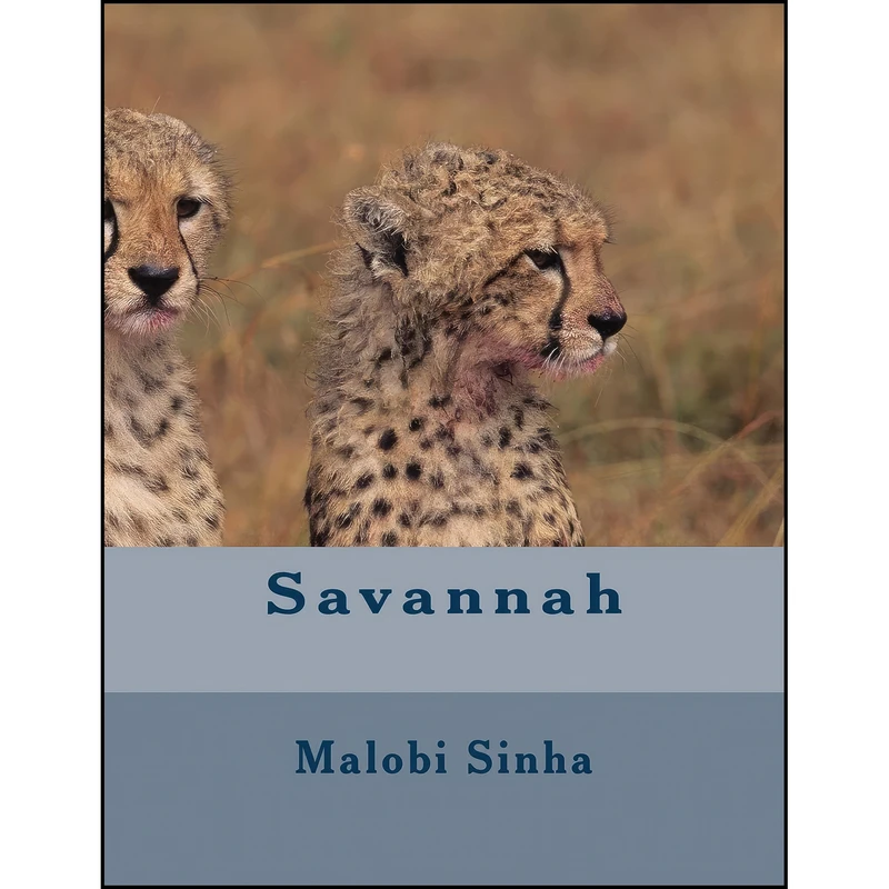 کتاب Savannah  اثر Malobi Sinha انتشارات تازه ها