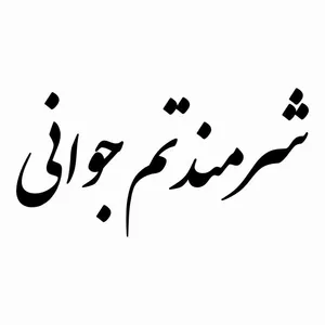 برچسب بدنه خودرو طرح شرمندتم جوانی کد MT-B453